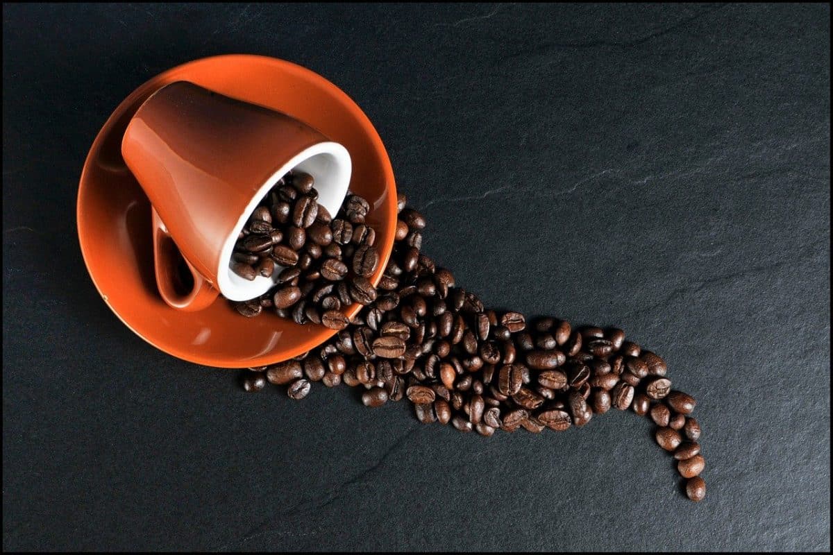 Des grains de café et une tasse