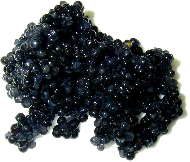 granos de caviar
