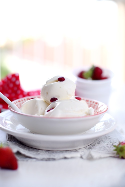 helado-yogur-griego8