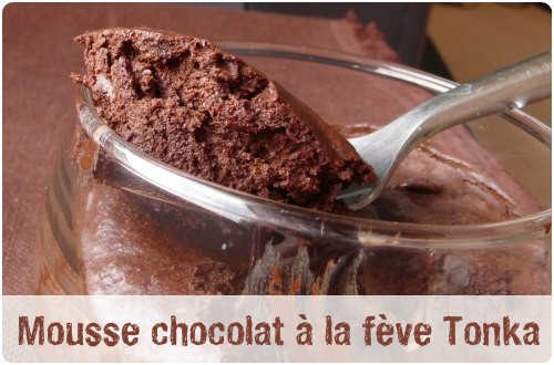 mousse-chocolate-tonka-bean