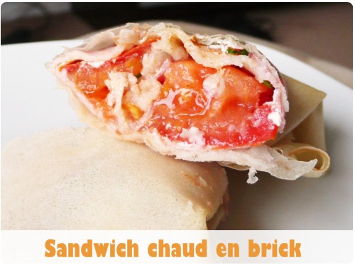 sándwich-ladrillo21